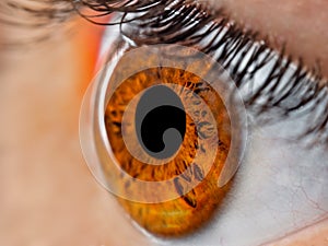 Brown eye macro - eye iris closeup - pupil eyeball macro - human eye photo