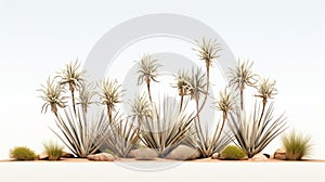 Fine Detail Yucca Field: Desert Plant Scene 3d Illustration