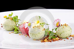 Fine dining dessert, Strawberry/Kiwi ice cream