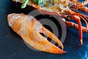 Fine dining: Lobster meat and claw with foam topping with asparagus served on stone plate