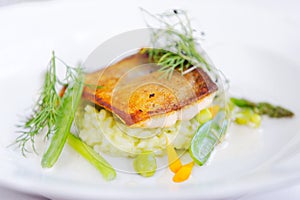 Fine dining, Trout fish fillet breaded in herbs and spice