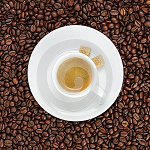 Fine espresso in cup on coffee beans