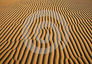 Fine, evenly spaced sand ripples create a mesmerizing pattern