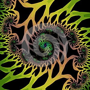 Fine fractal rendering.