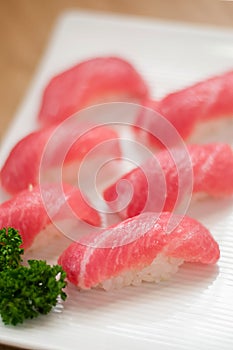 Fine fresh Nigiri sushi chutoro
