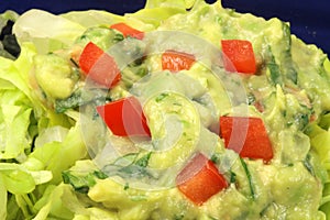 Fine gourmet guacamole