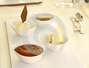 Fine Ice cream dessert with chocolate cake