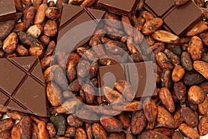 Fine origin chocolate with cocoa beans