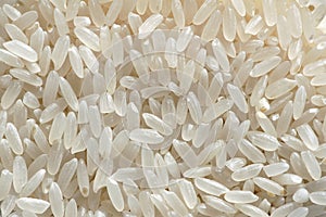 Fine rices