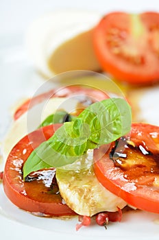 Fine salad of tomato and mozzarella