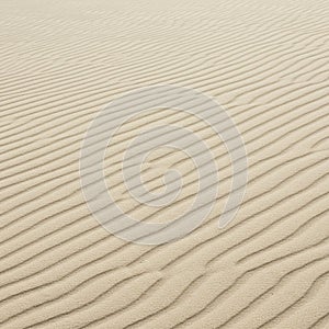 Fine sand creates a pattern of gentle, parallel ripples across the surface, typical of a