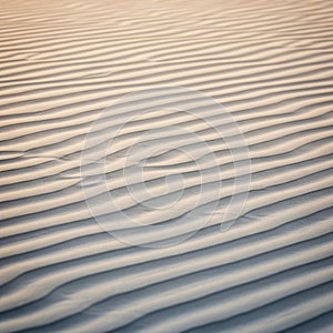 Fine sand ripples create a mesmerizing