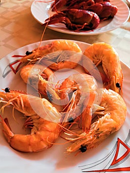 Fine selection of crustacean for dinner. Lobster, crab and jumbo shrimp on dark background