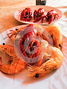 Fine selection of crustacean for dinner. Lobster, crab and jumbo shrimp on dark background