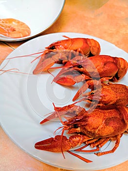 Fine selection of crustacean for dinner. Lobster, crab and jumbo shrimp on dark background