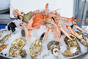Fine selection of crustacean for dinner. Lobster, crab and jumbo shrimps and oysters