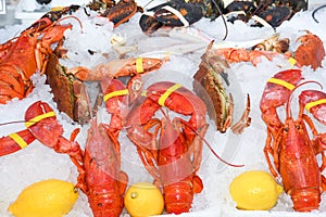 Fine selection of crustacean for dinner. Lobster, crab and jumbo shrimps and oysters