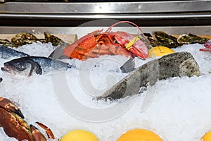 Fine selection of crustacean for dinner. Lobster, crab and jumbo shrimps and oysters