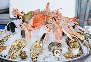 Fine selection of crustacean for dinner. Lobster, crab and jumbo shrimps and oysters