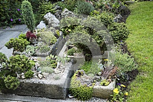 Part of a rock garden