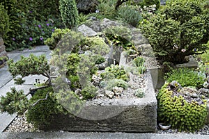 Part of a rock garden