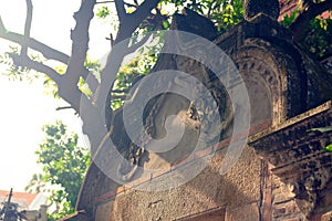 Fine stone carving-The corner of the island-Kulangsu photo