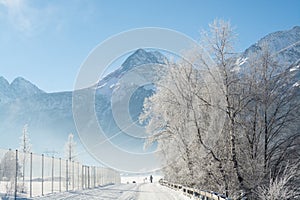 The fine winter mountains landscape. Sunny day. Winter decline. The bright colors. Winter forest. forest river. Branches in hoar