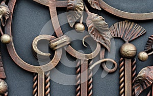 Fine wrought iron gates. Ornate elements