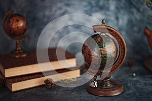 Fineart concept shot. Stilllife with rustic books  with flowers and globe on grey backgrounds