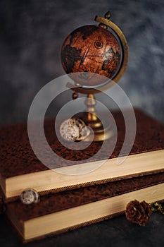 Fineart concept shot. Stilllife with rustic books  with flowers and globe on grey backgrounds photo