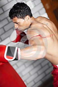 A finely tuned fighting machine. A young man practicing on a punching bag.