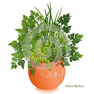 Fines Herbes in Clay Planter