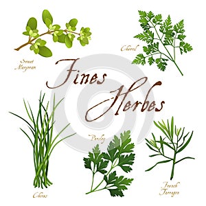 Fines Herbes, French Herb Blend