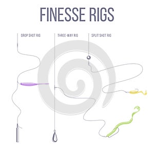 Finesse rigs for catching predatory fish.