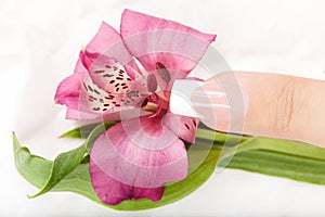 Finger with artificial french manicure and lily flower