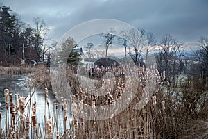 Finger Lakes Meadow 2