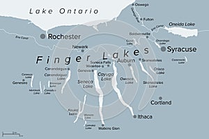 Finger Lakes region in New York State, United States, gray political map