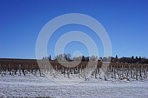 Finger Lakes Winery in Winter New York