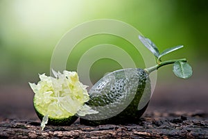 Finger Lime fruits, green leaves on nature background