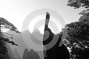 Finger peak of sanqingshan mountain, black and white image