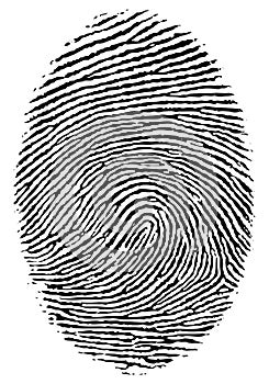 Finger print. photo