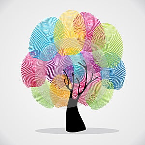 Finger prints diversity tree