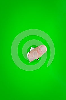 Finger protruding through hole