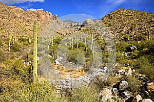 Finger Rock