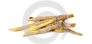 Finger root or Chinese`s Ginger isolated on the white background