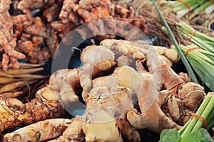 finger root and ginger in the market.