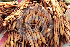 finger root and ginger in the market.