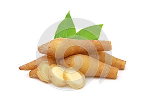 Finger root Krachai and sliced with leaves isolated on white background. photo