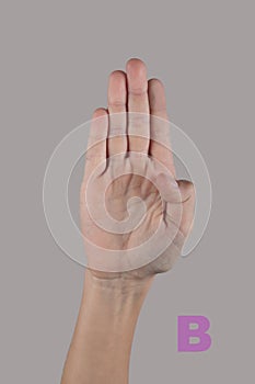 Finger Spelling Alphabet . Letter B on grey background