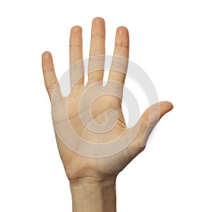 Finger spelling number 5 in Sign Language on white background. ASL concept